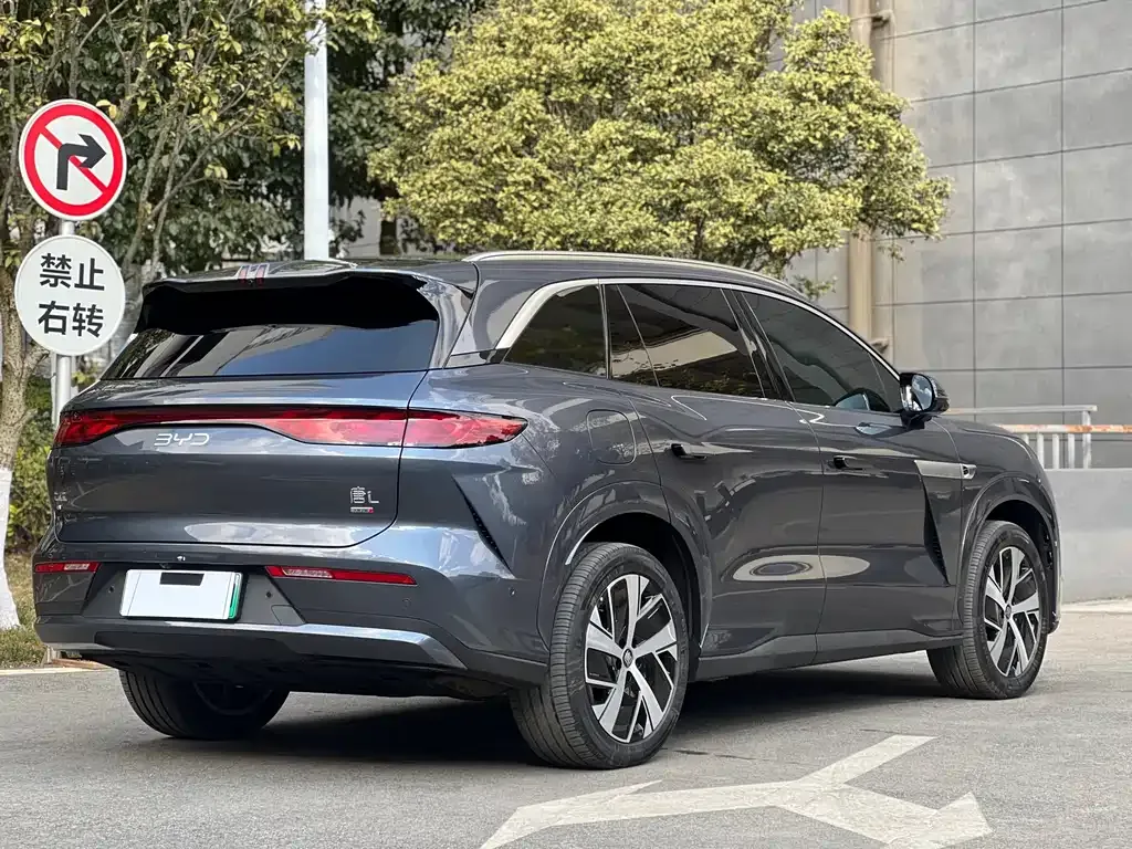 BYD Tang L — фото 5
