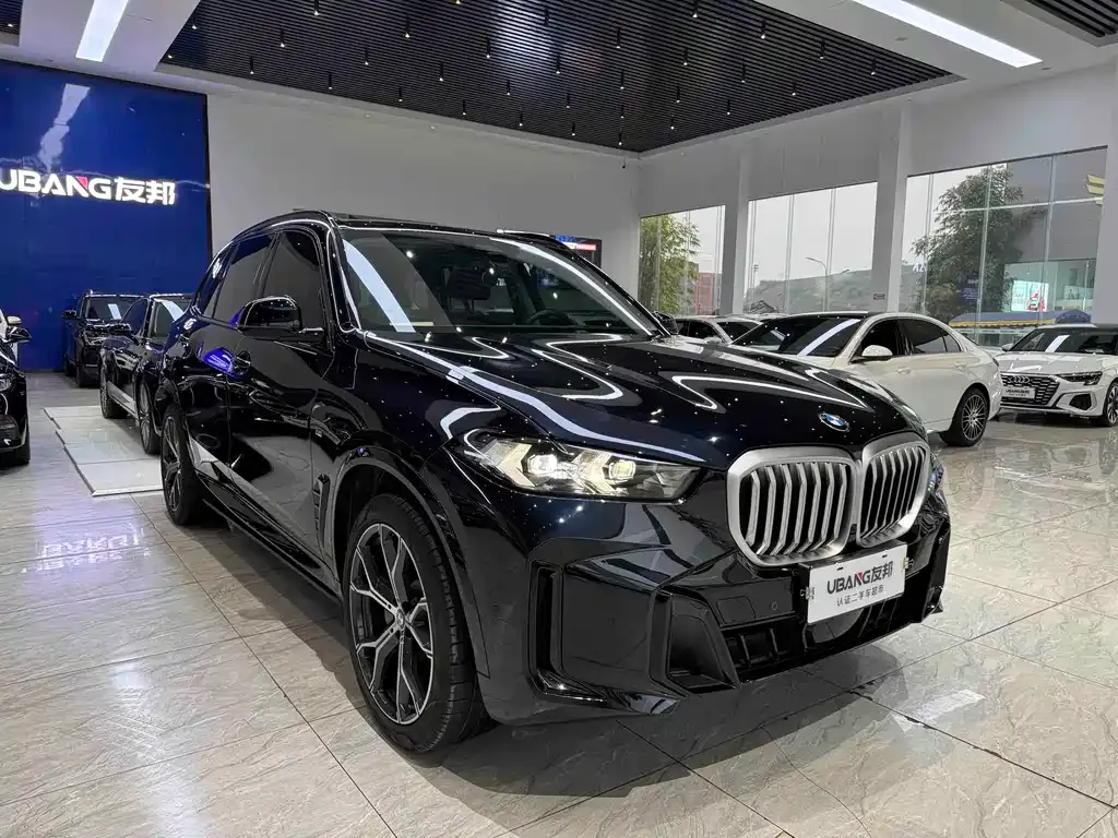 BMW X5 — фото 10