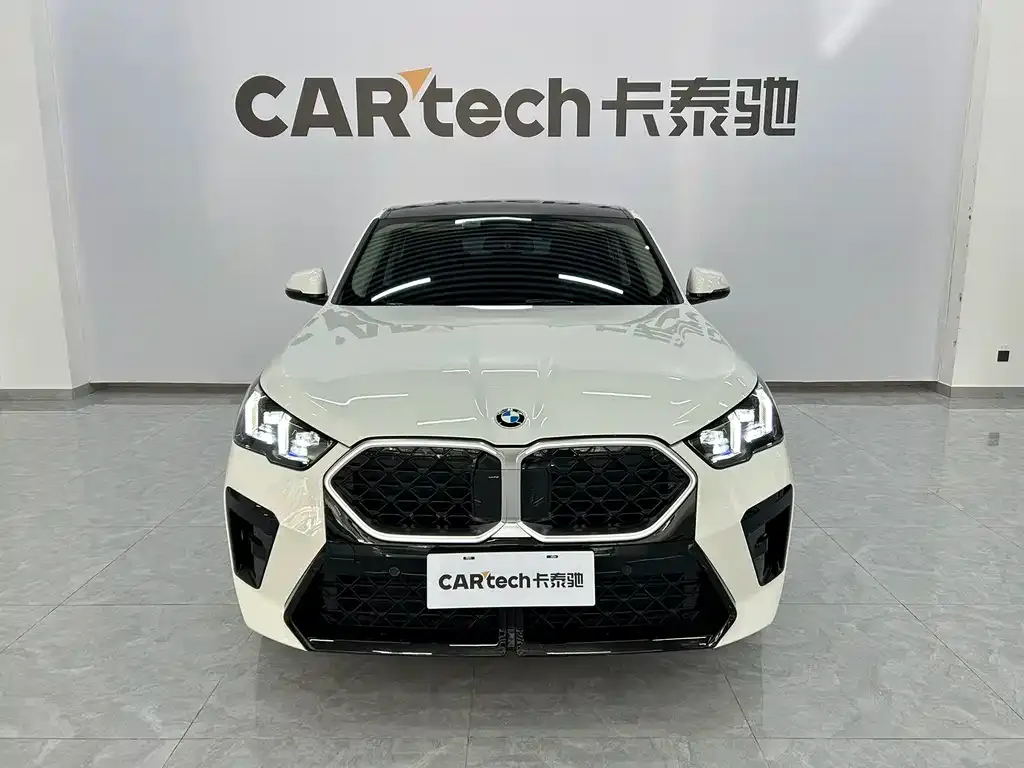 BMW X2 (Import) — фото 1