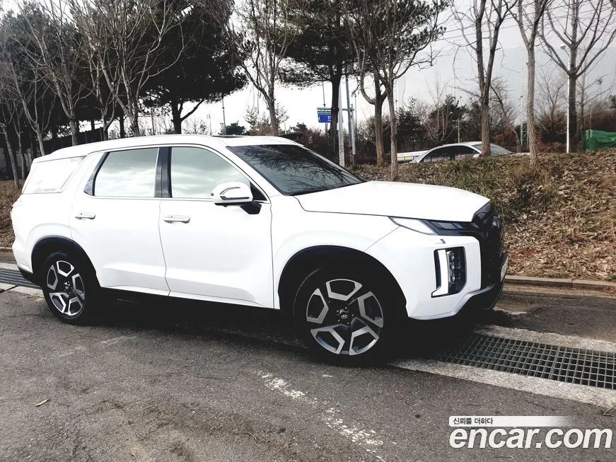 Hyundai Palisade — фото 9