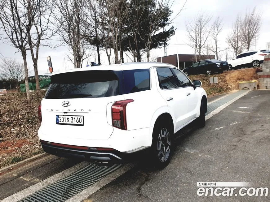 Hyundai Palisade — фото 10