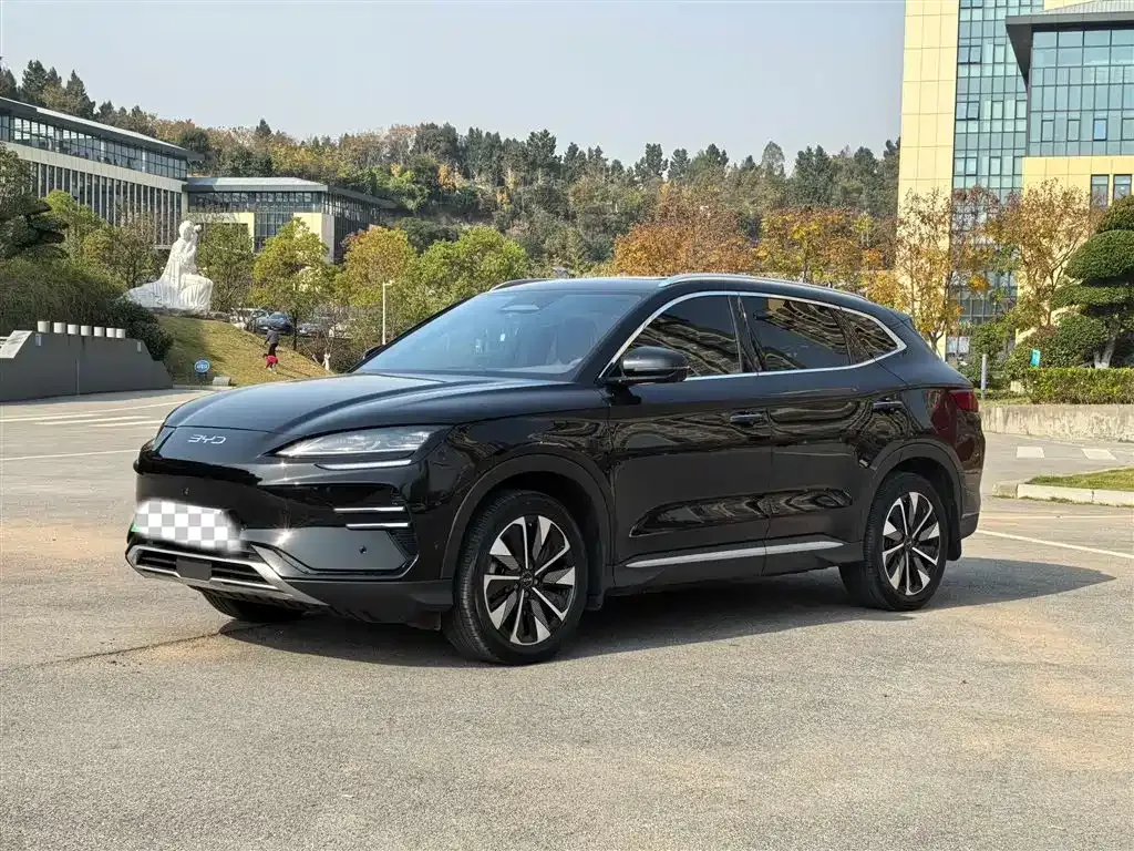 BYD PLUS New Energy — фото 1