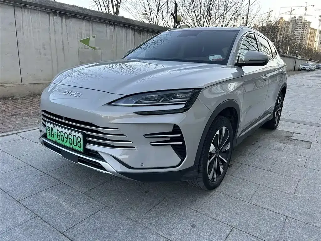 BYD PLUS New Energy — фото 1