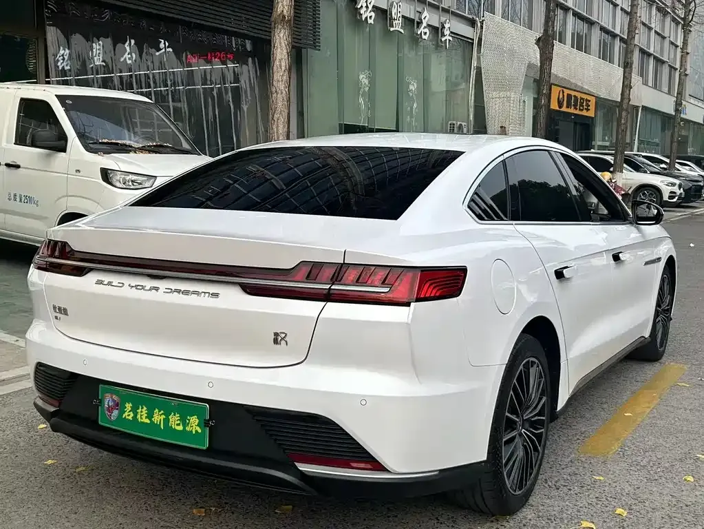 BYD Han — фото 10