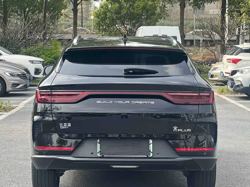 BYD PLUS New Energy — фото 8