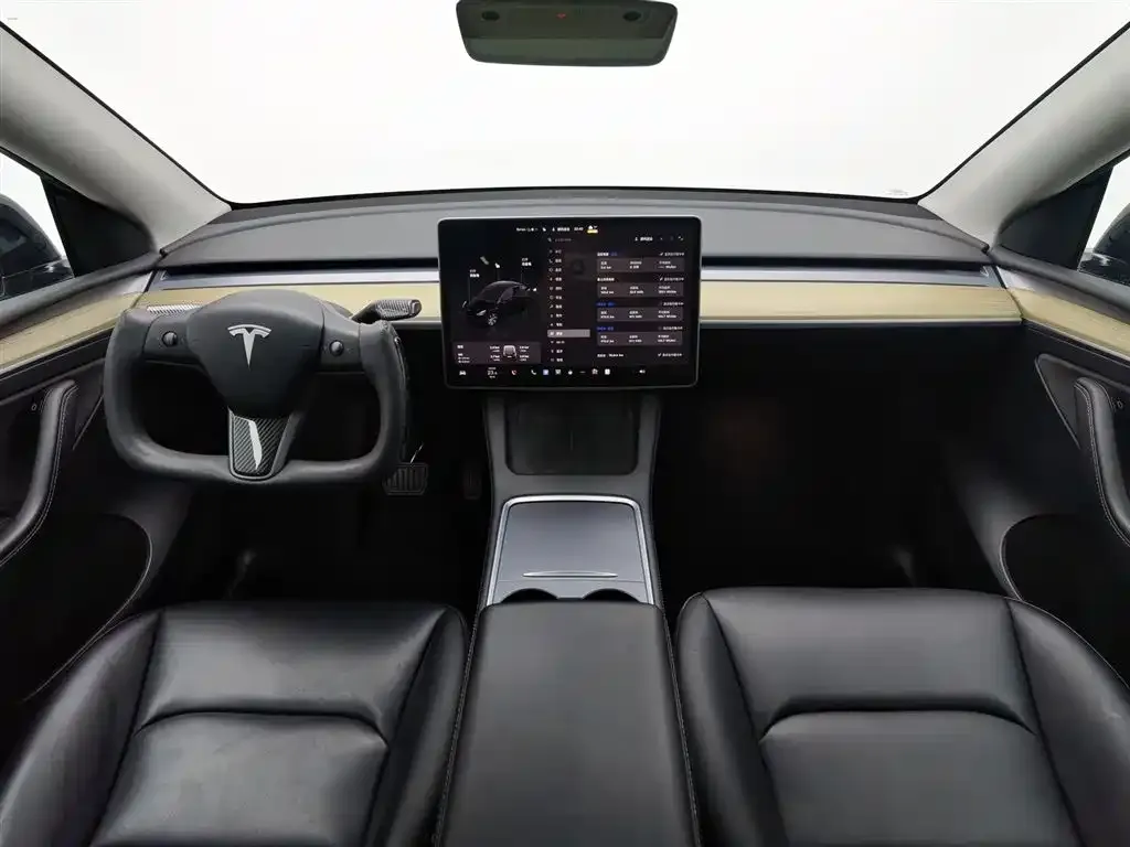 Tesla Model Y — фото 2
