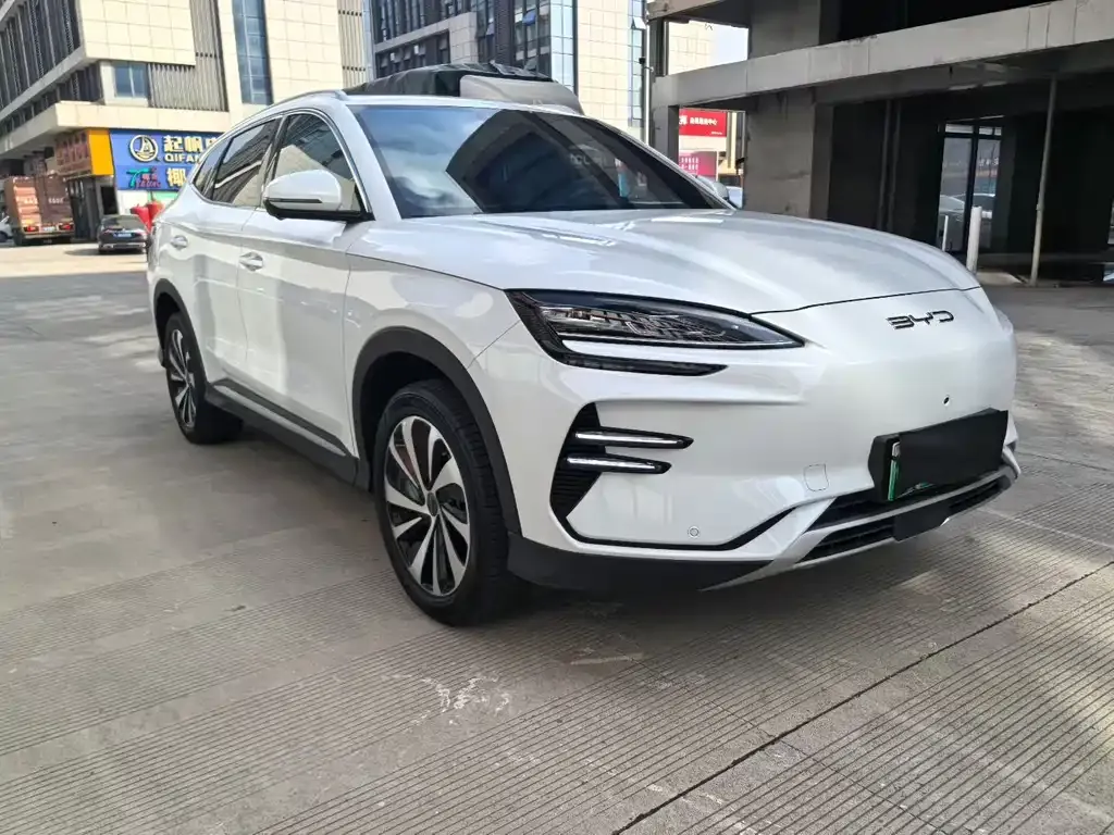 BYD PLUS New Energy — фото 3