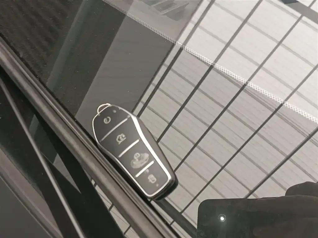 BYD PLUS New Energy — фото 2