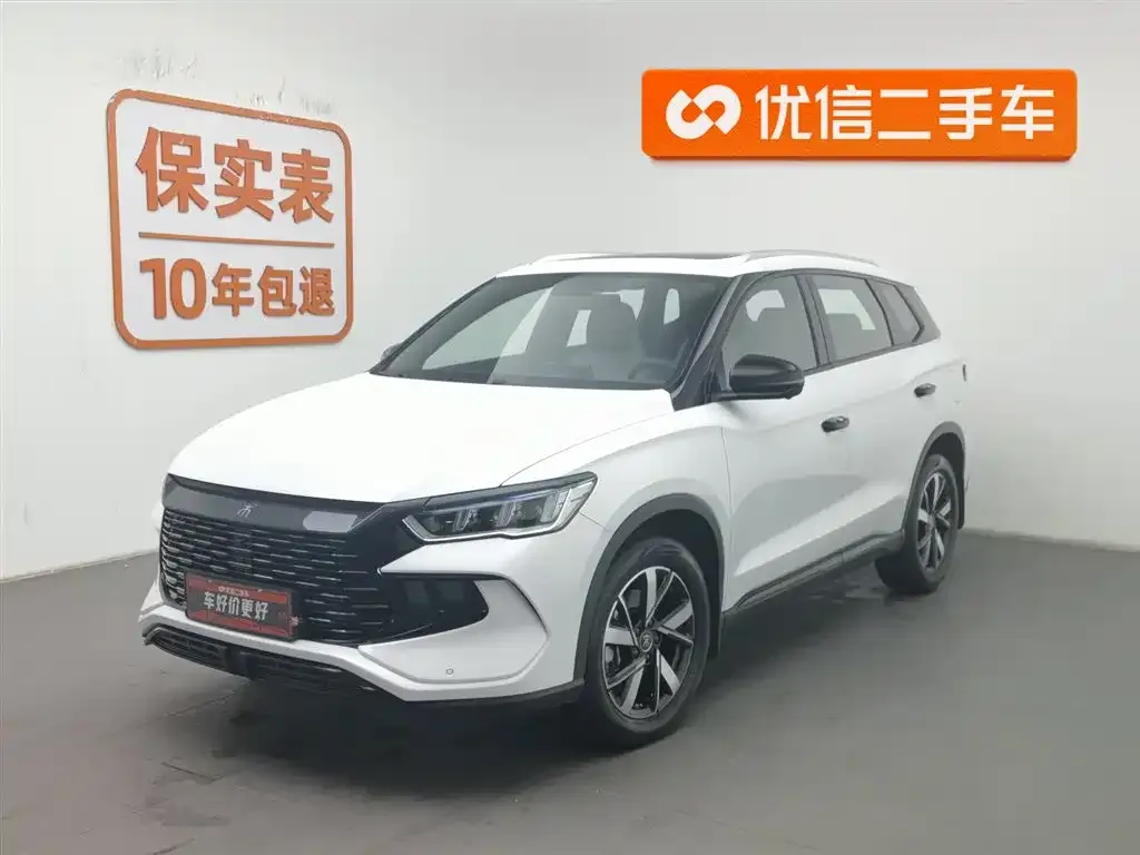 BYD Pro New Energy — фото 1
