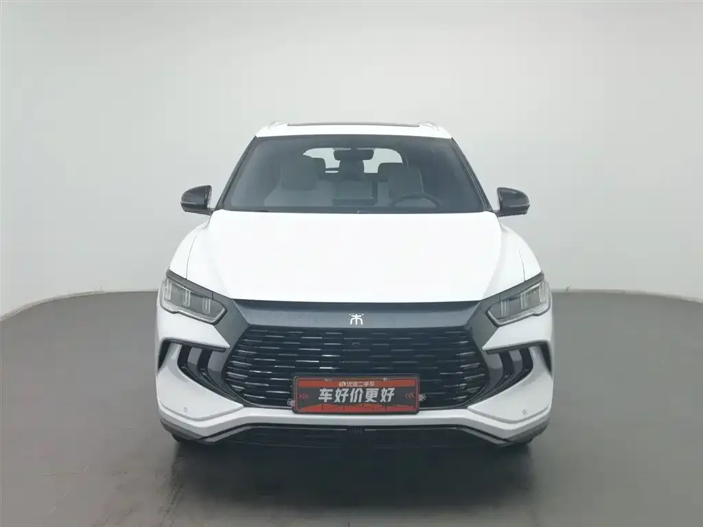 BYD Pro New Energy — фото 4
