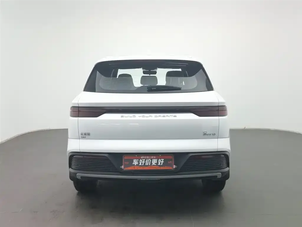 BYD Pro New Energy — фото 2