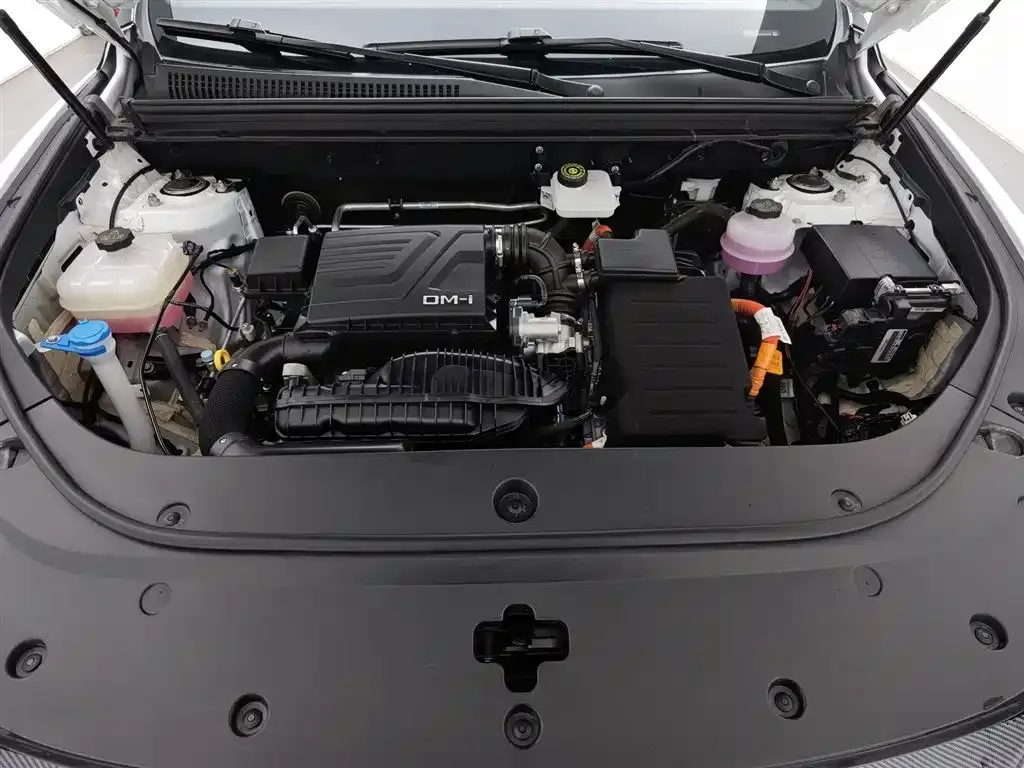 BYD Pro New Energy — фото 10