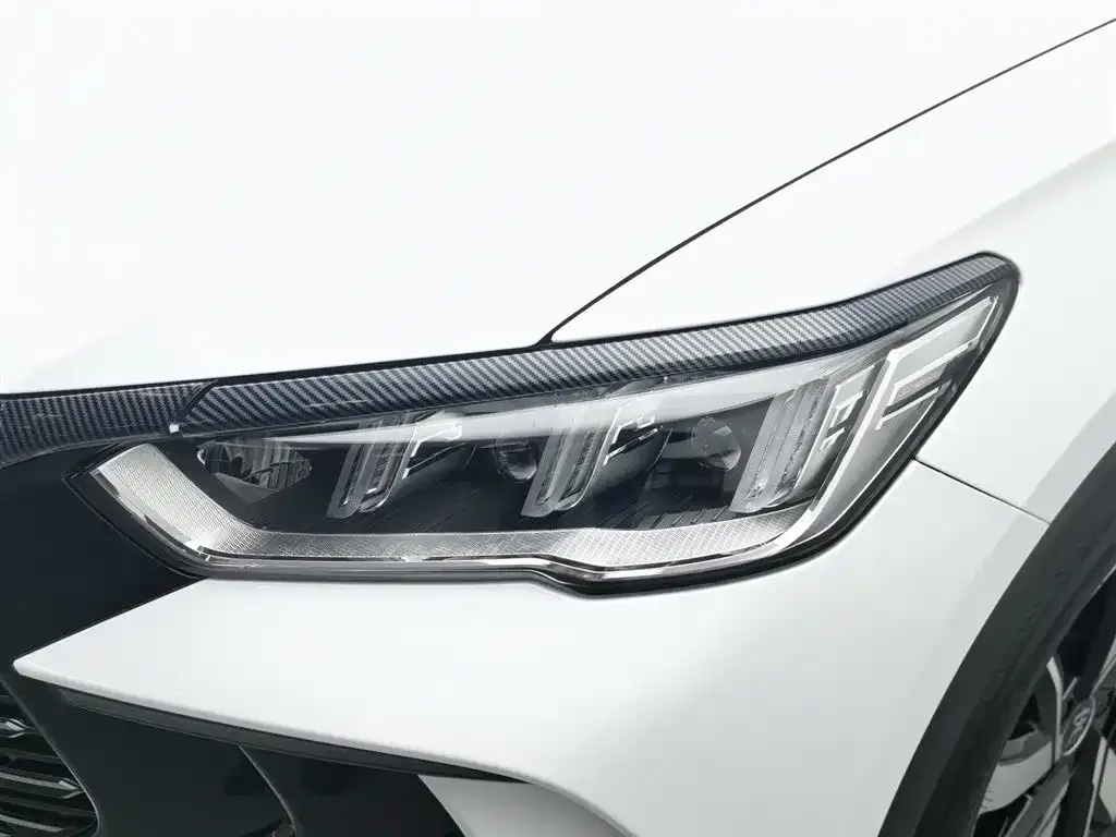 BYD Pro New Energy — фото 9