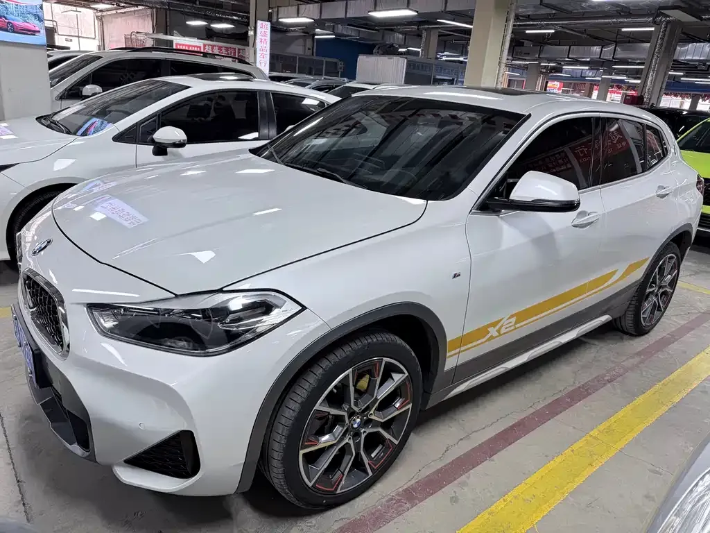 BMW X2 — фото 1