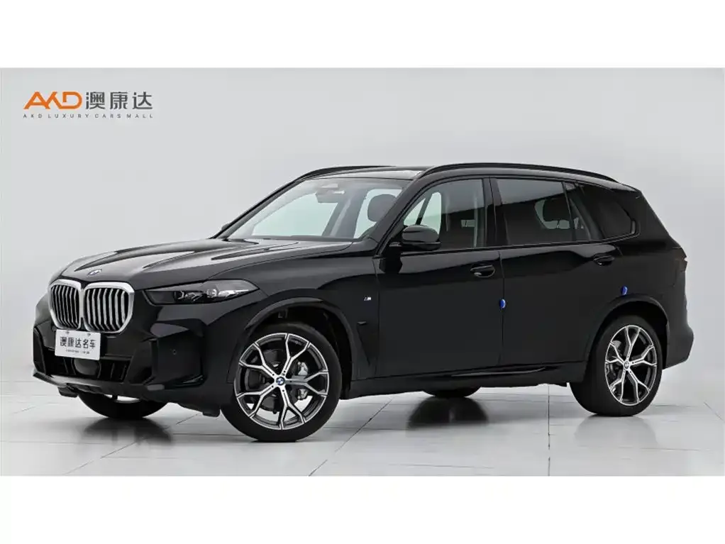 BMW X5 — фото 1