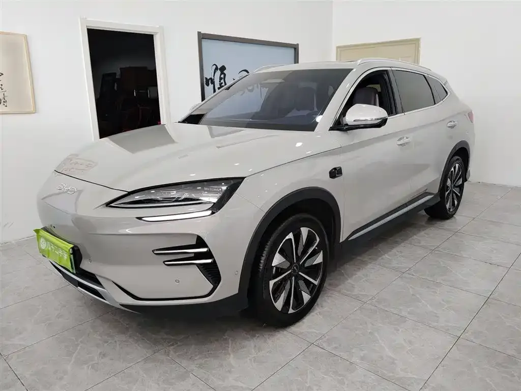BYD PLUS New Energy — фото 1