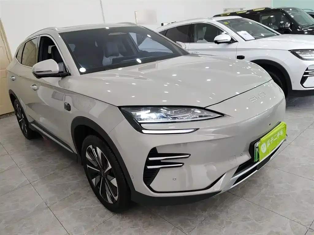 BYD PLUS New Energy — фото 3