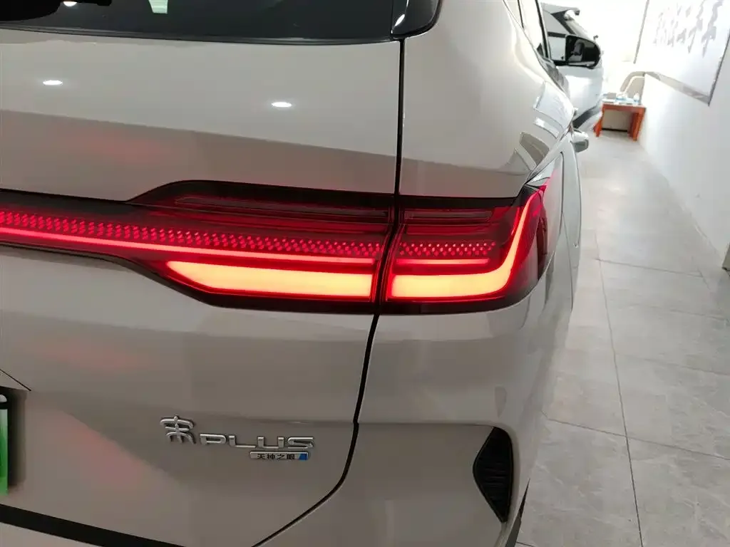 BYD PLUS New Energy — фото 2