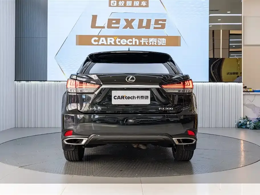 Lexus RX — фото 8