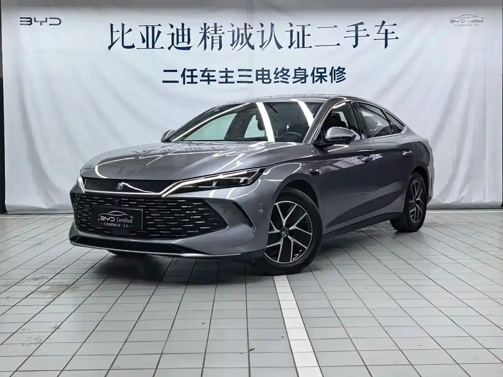 BYD Qin PLUS — фото 1