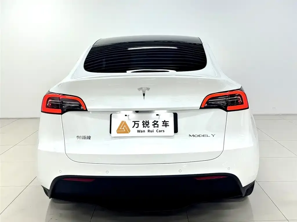 Tesla Model Y — фото 3