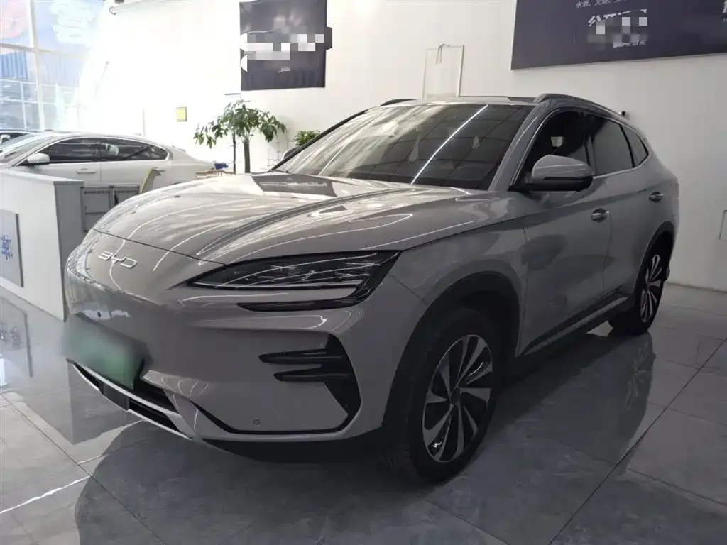 BYD PLUS New Energy — фото 1