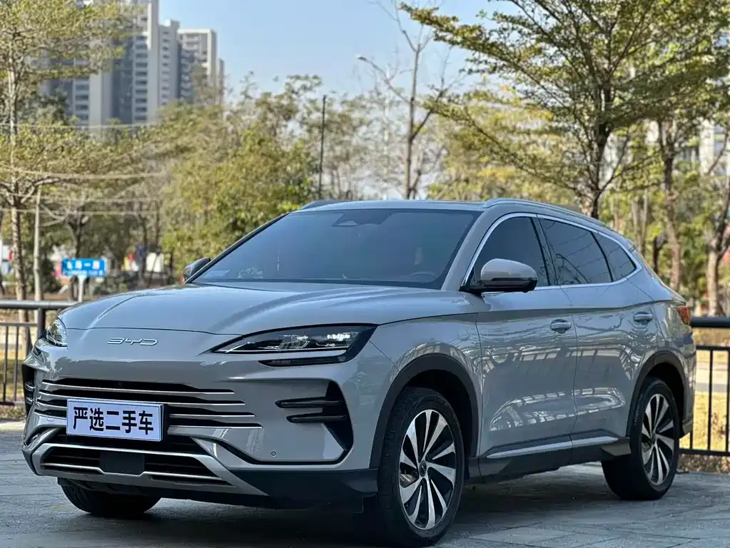 BYD PLUS New Energy — фото 1