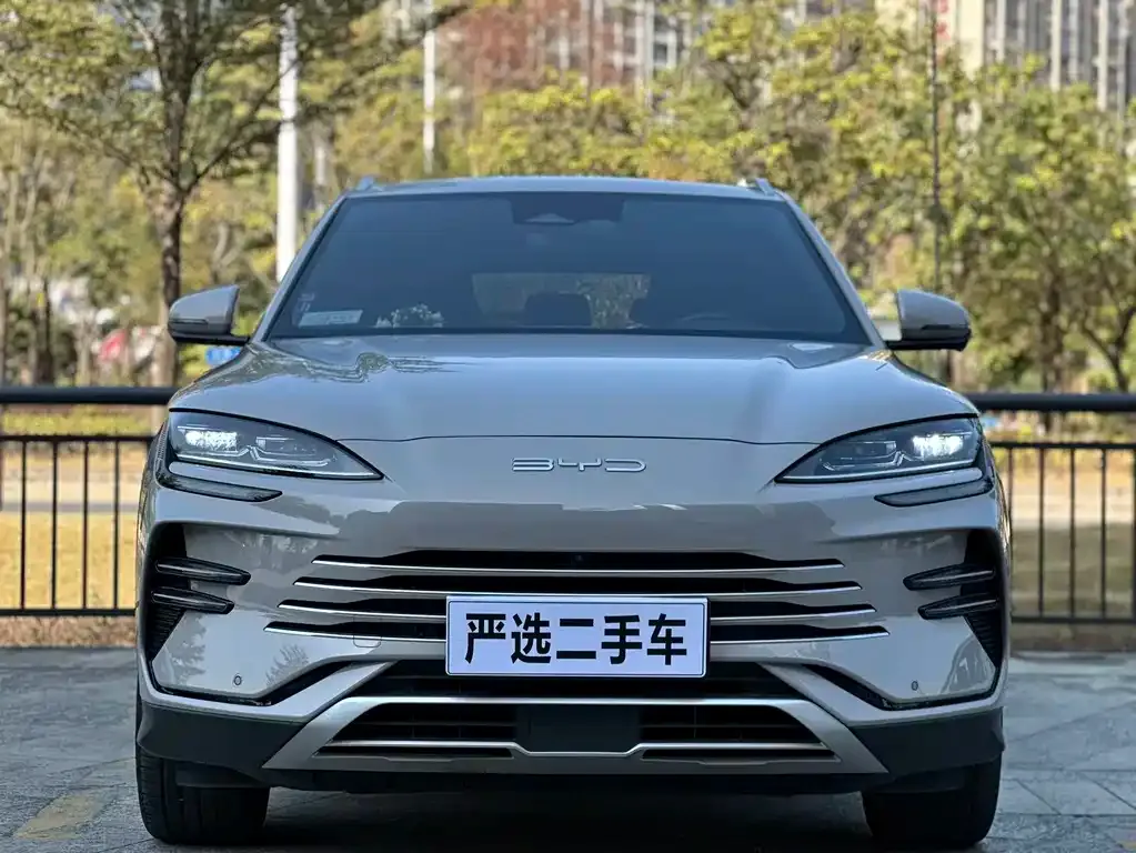 BYD PLUS New Energy — фото 4