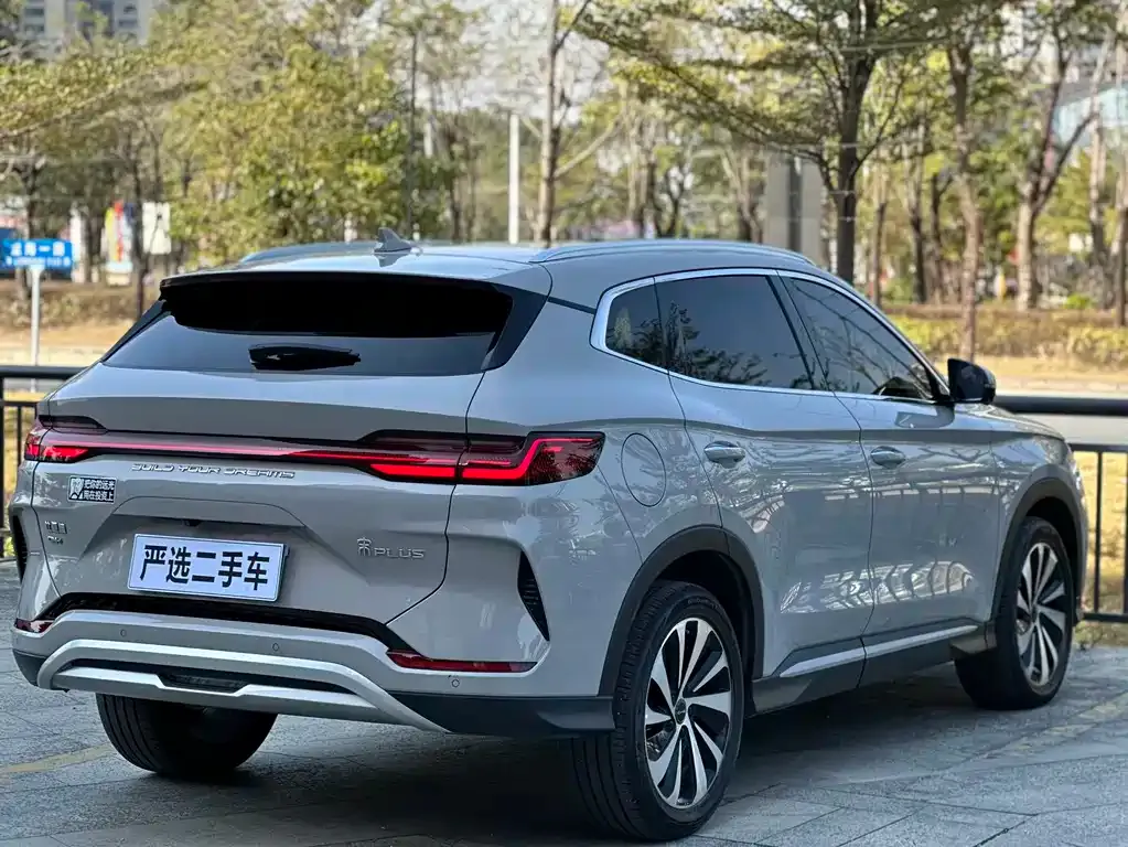 BYD PLUS New Energy — фото 8