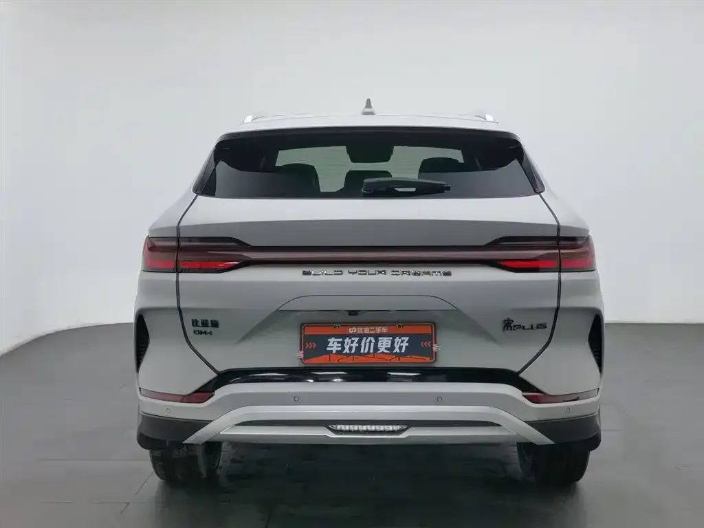 BYD PLUS New Energy — фото 4