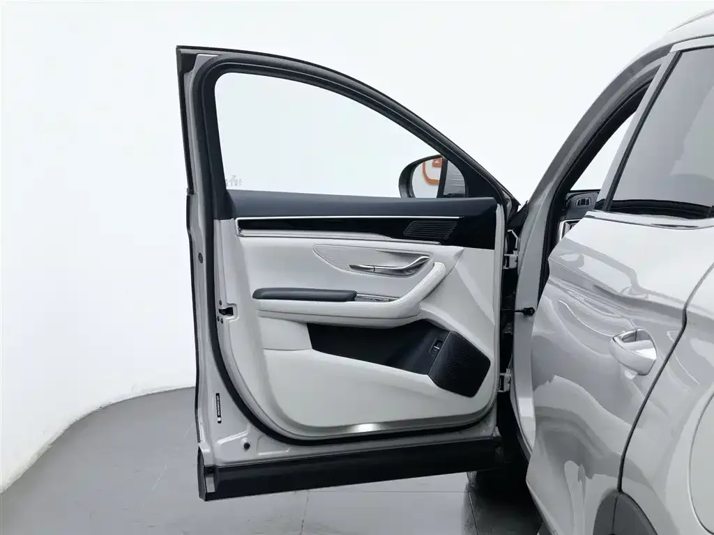 BYD PLUS New Energy — фото 8
