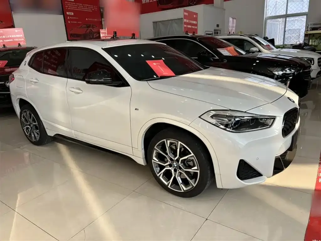 BMW X2 — фото 10