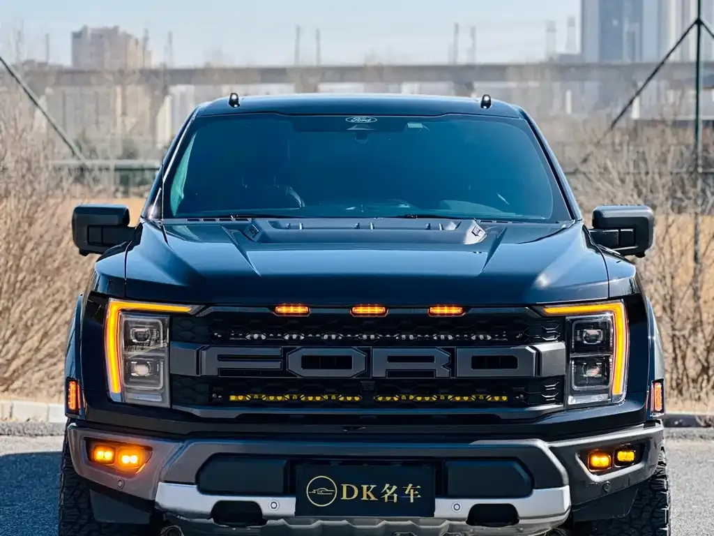 Ford F-150 Raptor — фото 1