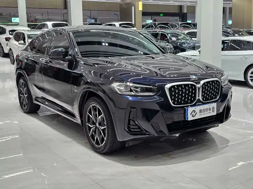 BMW X4 — фото 10