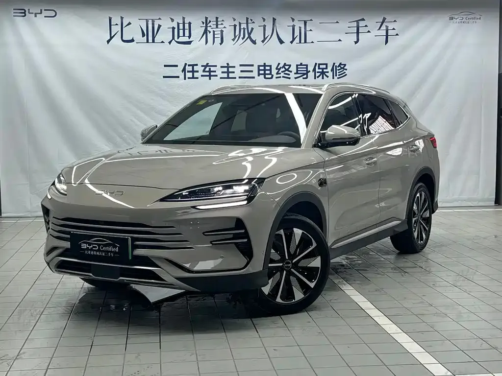 BYD PLUS New Energy — фото 1