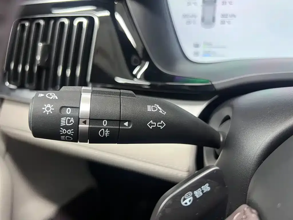 BYD PLUS New Energy — фото 2