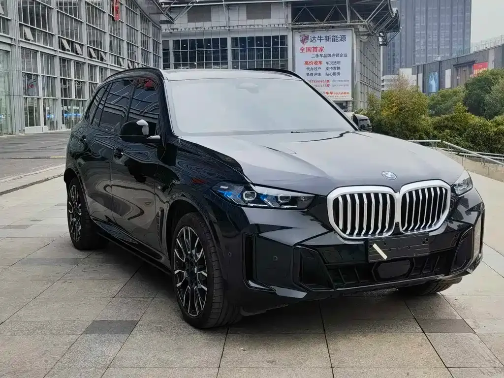 BMW X5 — фото 8