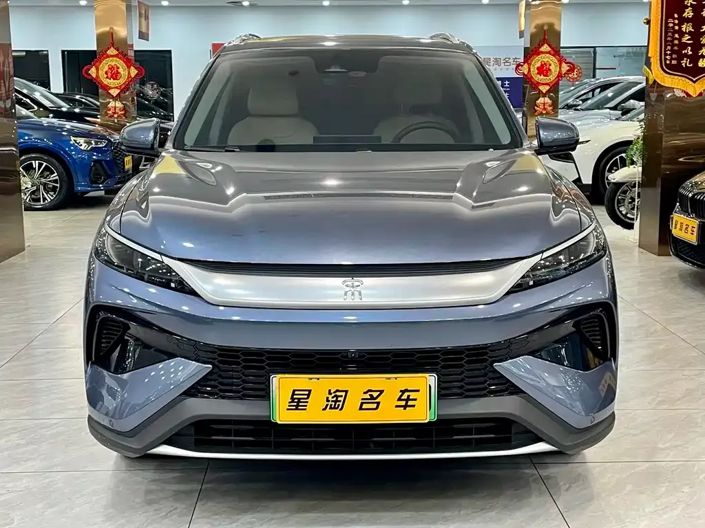 BYD Pro New Energy — фото 9