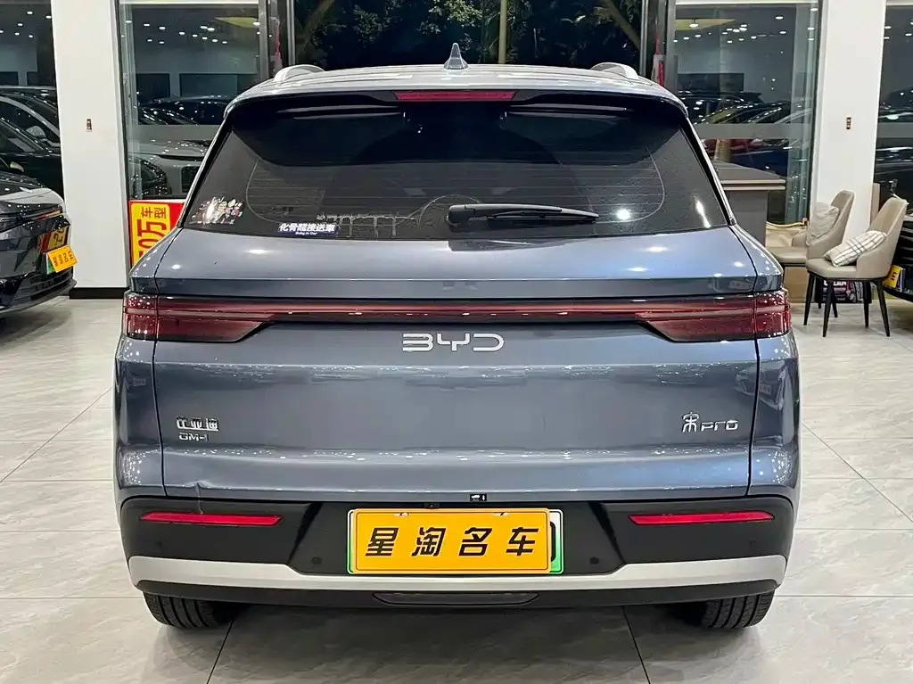 BYD Pro New Energy — фото 4