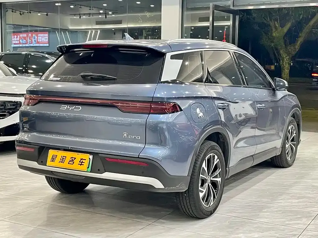 BYD Pro New Energy — фото 10