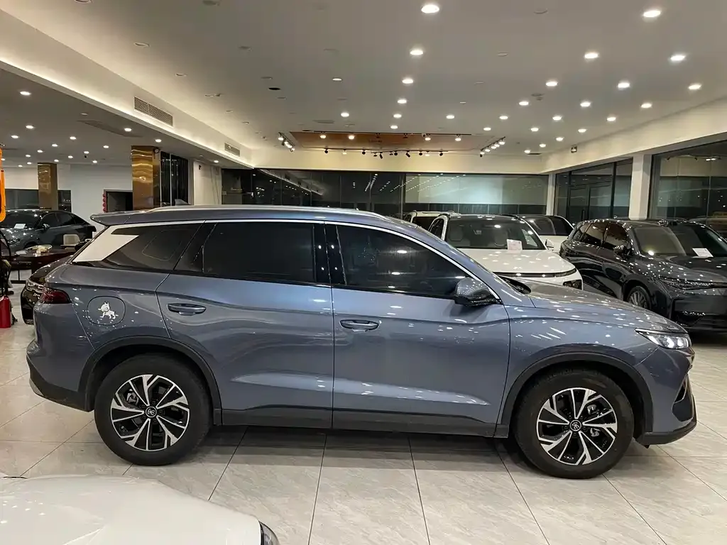 BYD Pro New Energy — фото 3