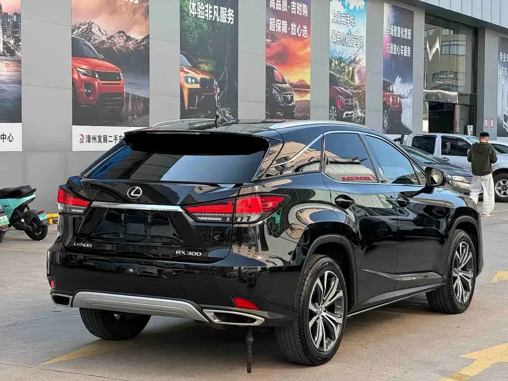 Lexus RX — фото 5