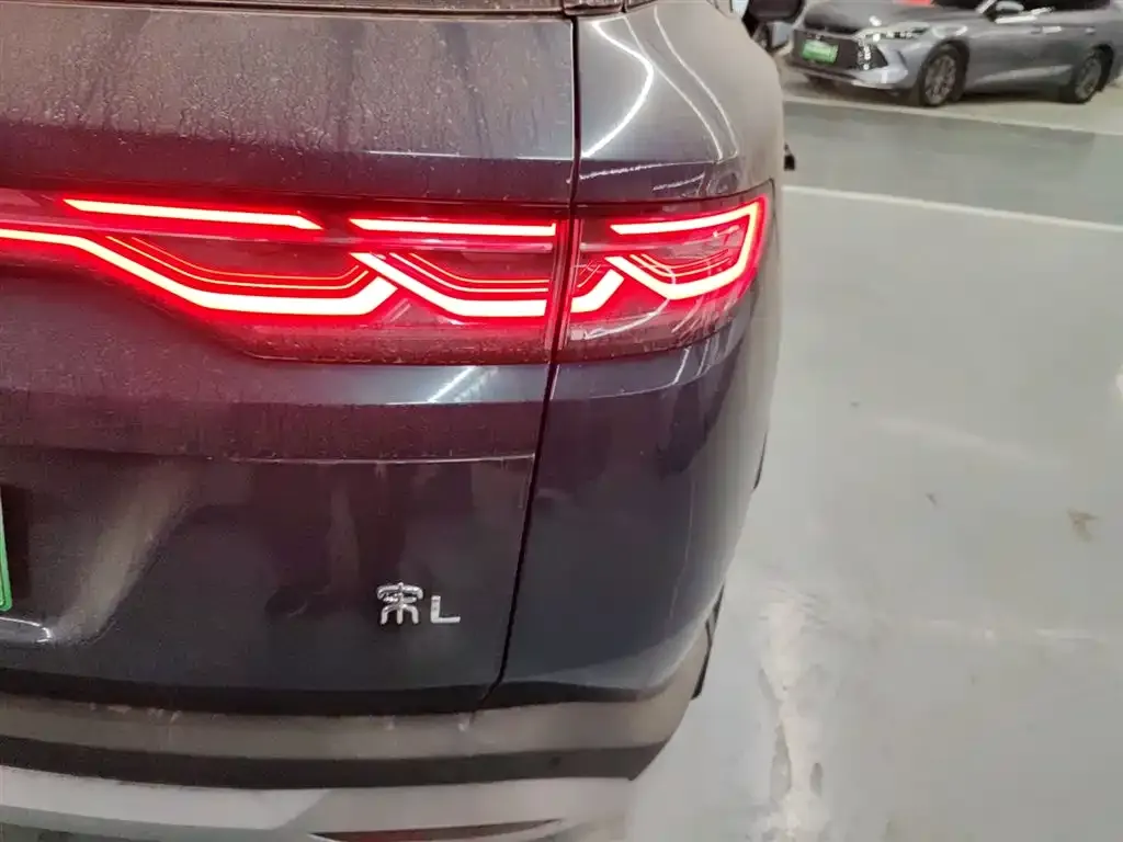 BYD L DM-i — фото 8