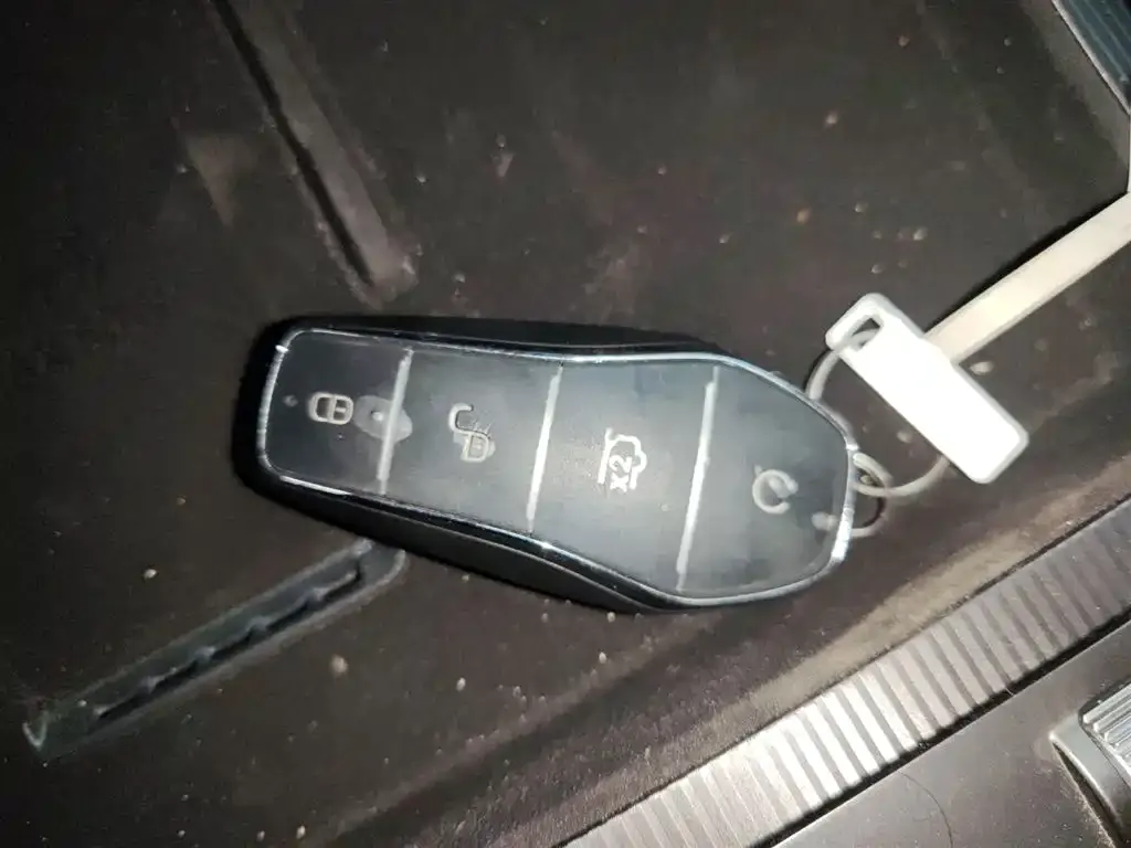 BYD L DM-i — фото 9