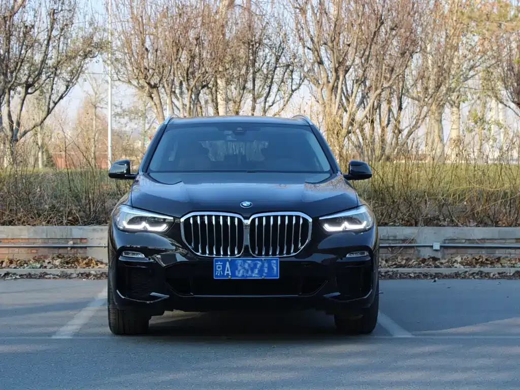 BMW X5 (Import) — фото 6