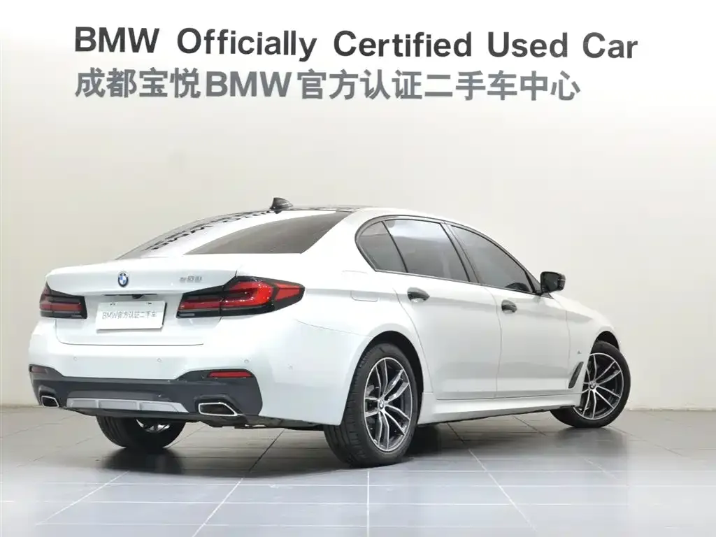 BMW 5 Series New Energy — фото 5