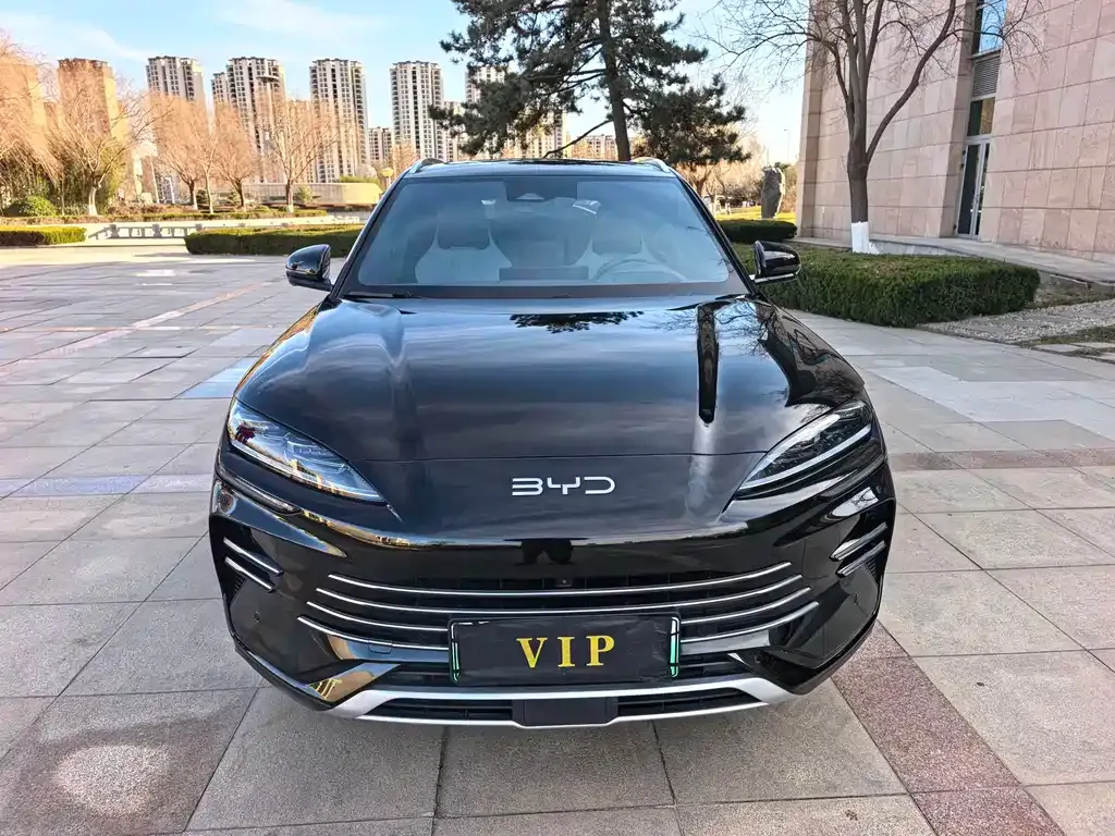 BYD PLUS New Energy — фото 1