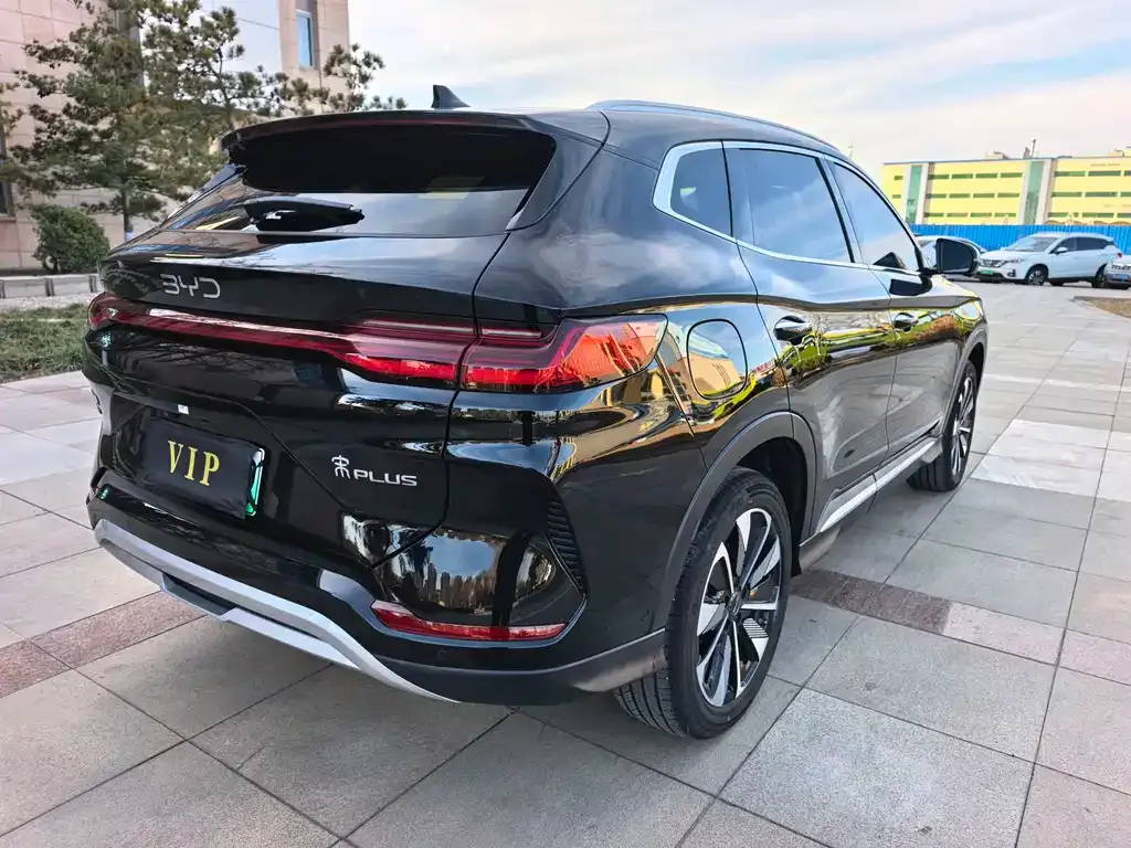 BYD PLUS New Energy — фото 7