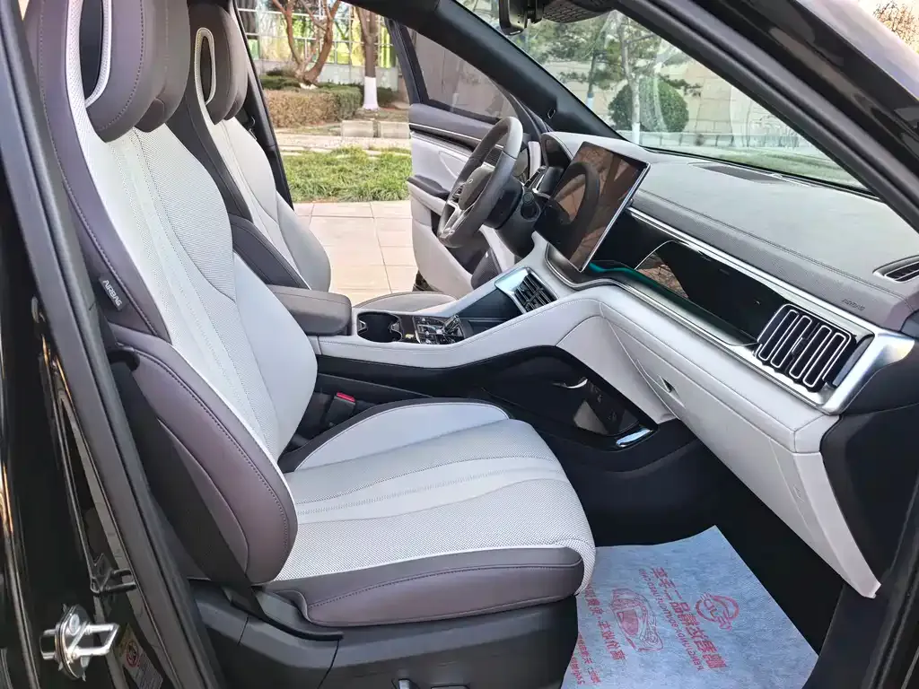 BYD PLUS New Energy — фото 4
