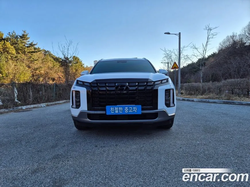 Hyundai Palisade — фото 1